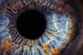Doenças Oculares